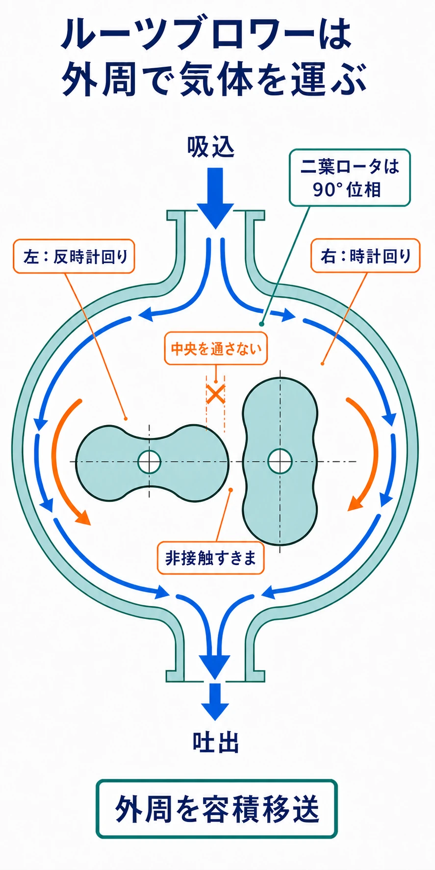ルーツブロワーの二葉ロータが90度の位相差で逆回転し、気体を中央ではなくケーシング外周で運ぶ図