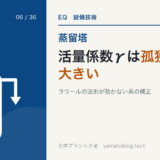 D-06 活量係数γは孤独なほど大きい