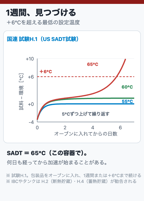 1週間、見つづける