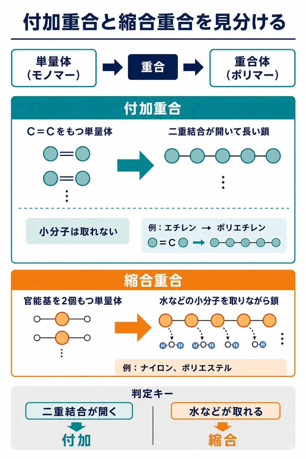 単量体から重合体ができる流れと、付加重合・縮合重合の違いを比較した図