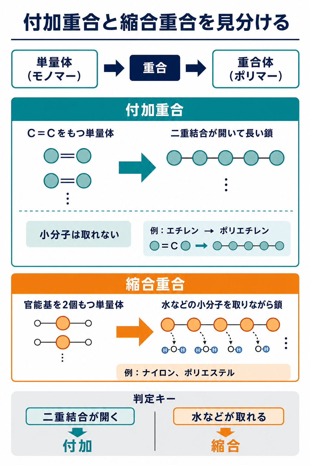 単量体から重合体ができる流れと、付加重合・縮合重合の違いを比較した図