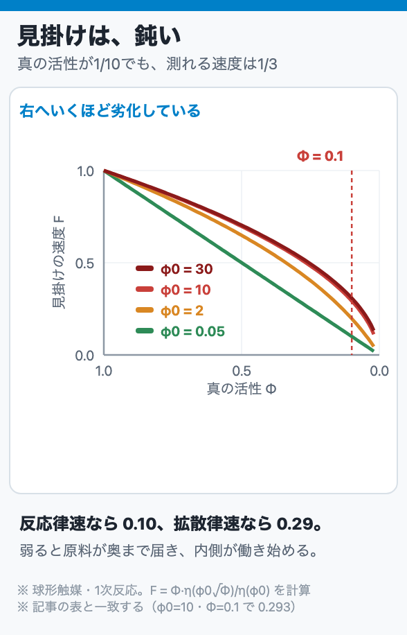 見掛けは、鈍い
