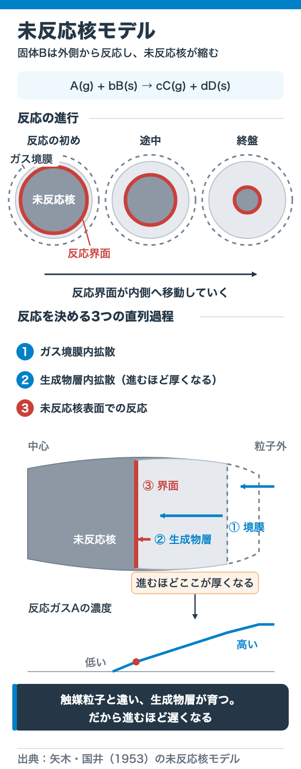 反応界面が内側へ移動していく