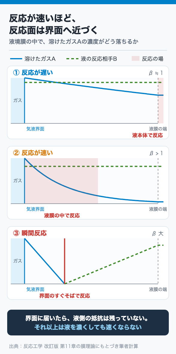 液膜のどこで反応するか