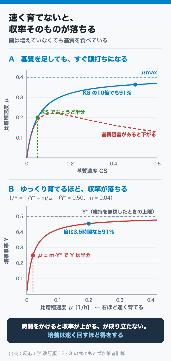 Monod曲線と、ゆっくり育てたときの収率低下