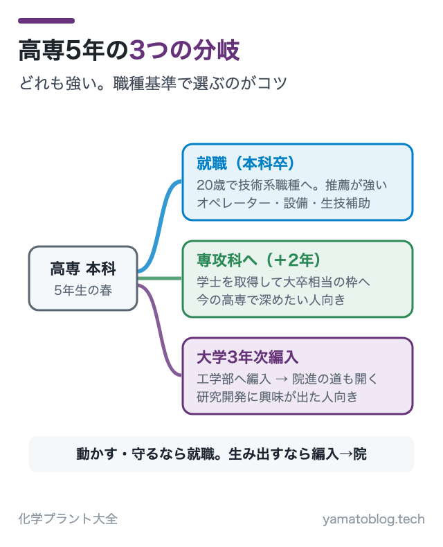 高専5年の3つの分岐