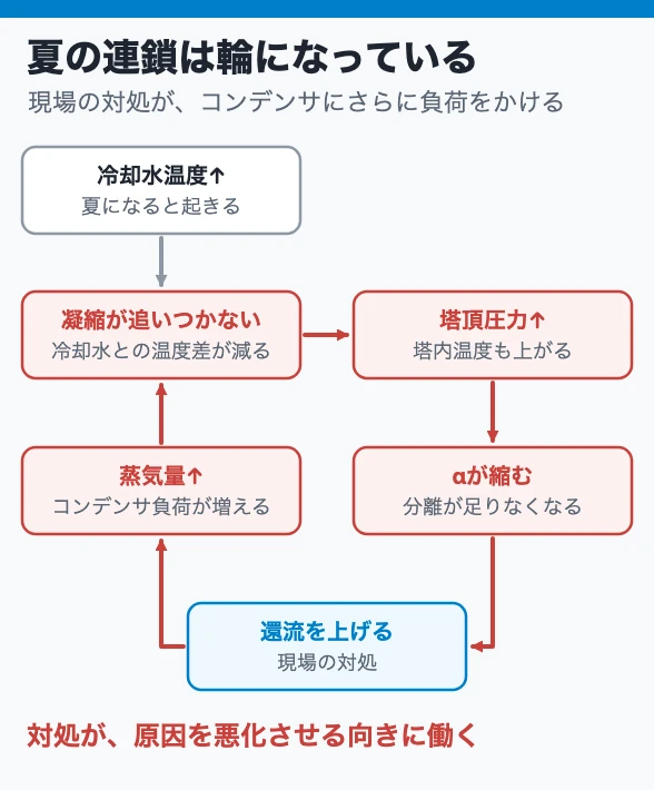 夏の連鎖は輪になっている
