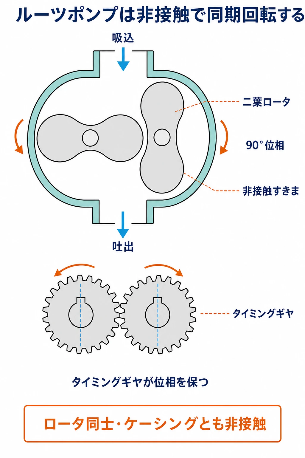 二つの二葉ロータが90度位相で非接触回転し、軸端のタイミングギヤで同期するルーツポンプの構造