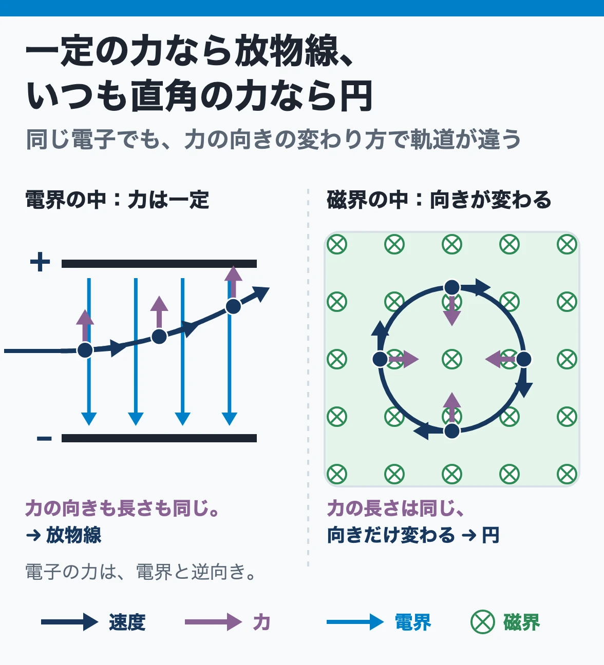 等加速度運動と円運動:電界の中の電子は向きも大きさも一定の力を受けて放物線を描き、磁界の中の電子は速さと直角の力を受け続けて円を描く