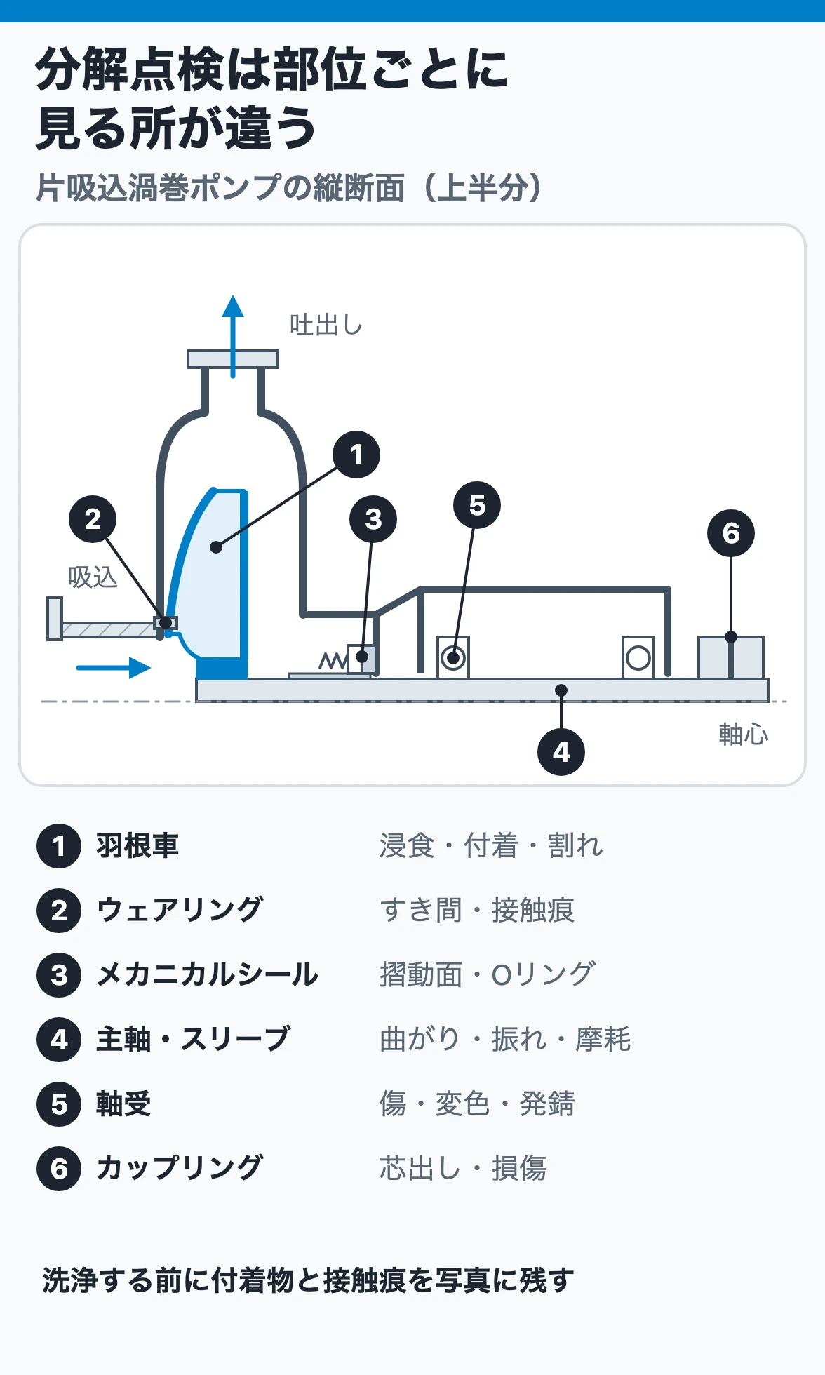 分解点検で見る所:片吸込渦巻ポンプの断面で、羽根車は浸食・付着・割れ、ウェアリングはすき間、軸封は摺動面、主軸は振れ、軸受は傷・変色、カップリングは芯出しを確かめる